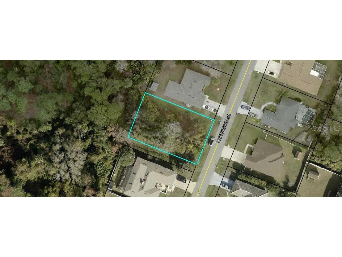 33 Pepperdine Drive Palm Coast FL 32164 FC317578 image4