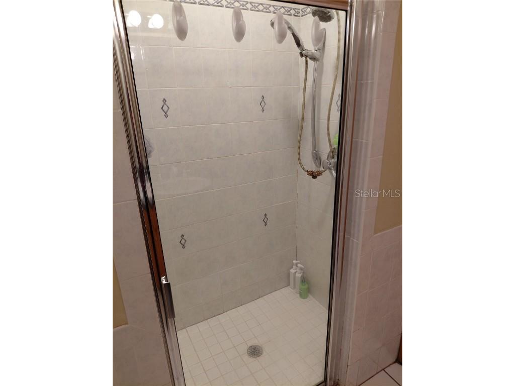 33 Pine Trace Course Ocala FL 34472 OM704512 image42