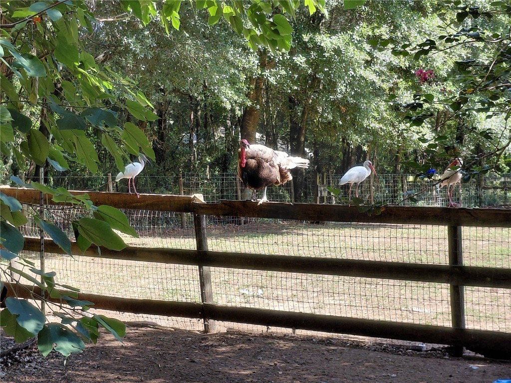 33 Pine Trace Course Ocala FL 34472 OM704512 image51