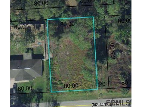 33 Pineapple Drive Palm Coast FL 32164 FC276437 image2