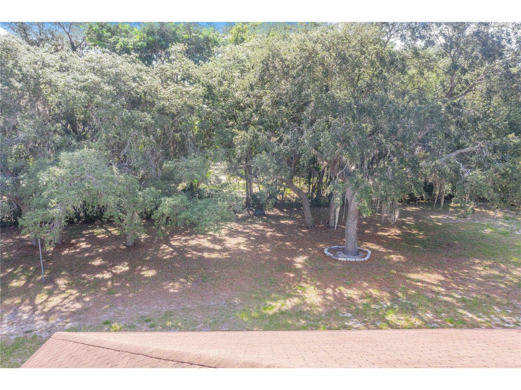 33 Pinewood Drive Haines City FL 33844 P4938797 image21