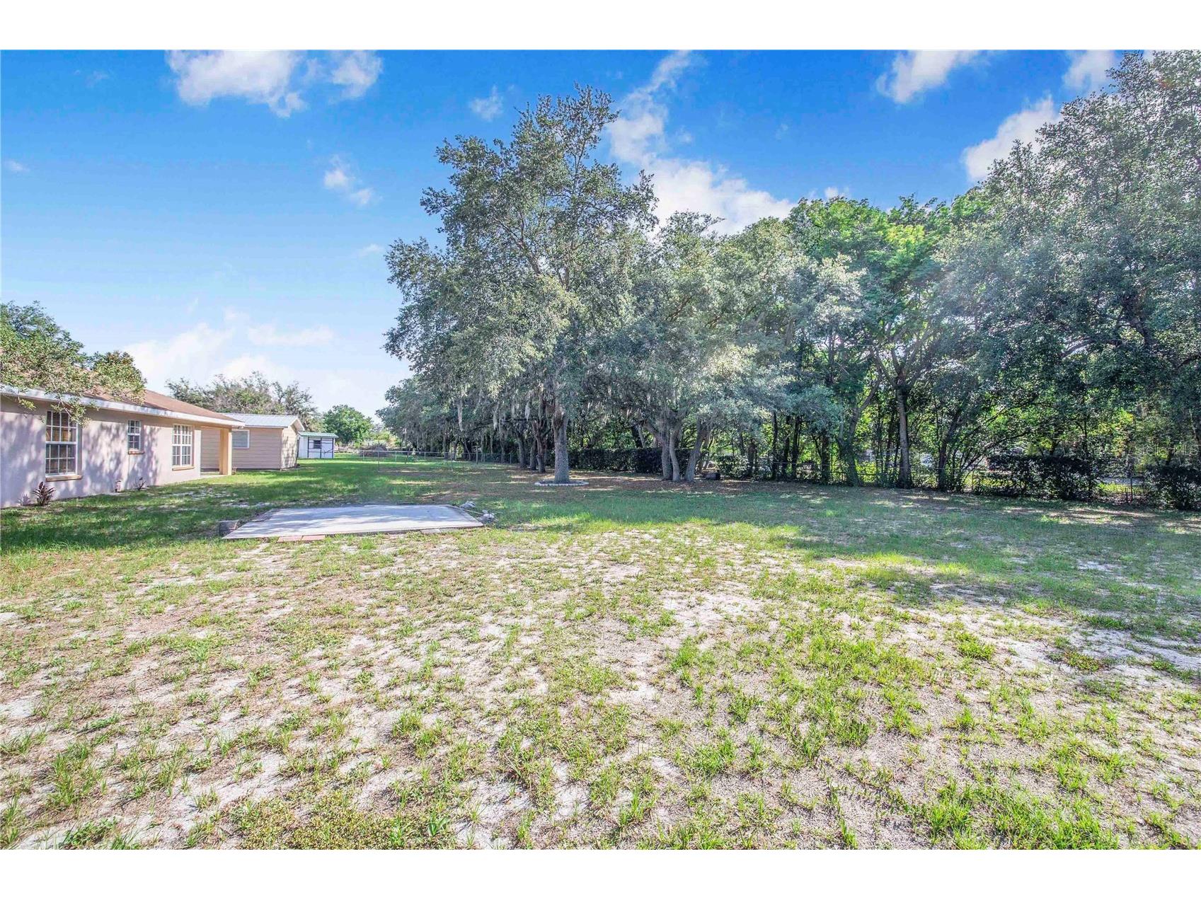 33 Pinewood Drive Haines City FL 33844 P4938797 image26