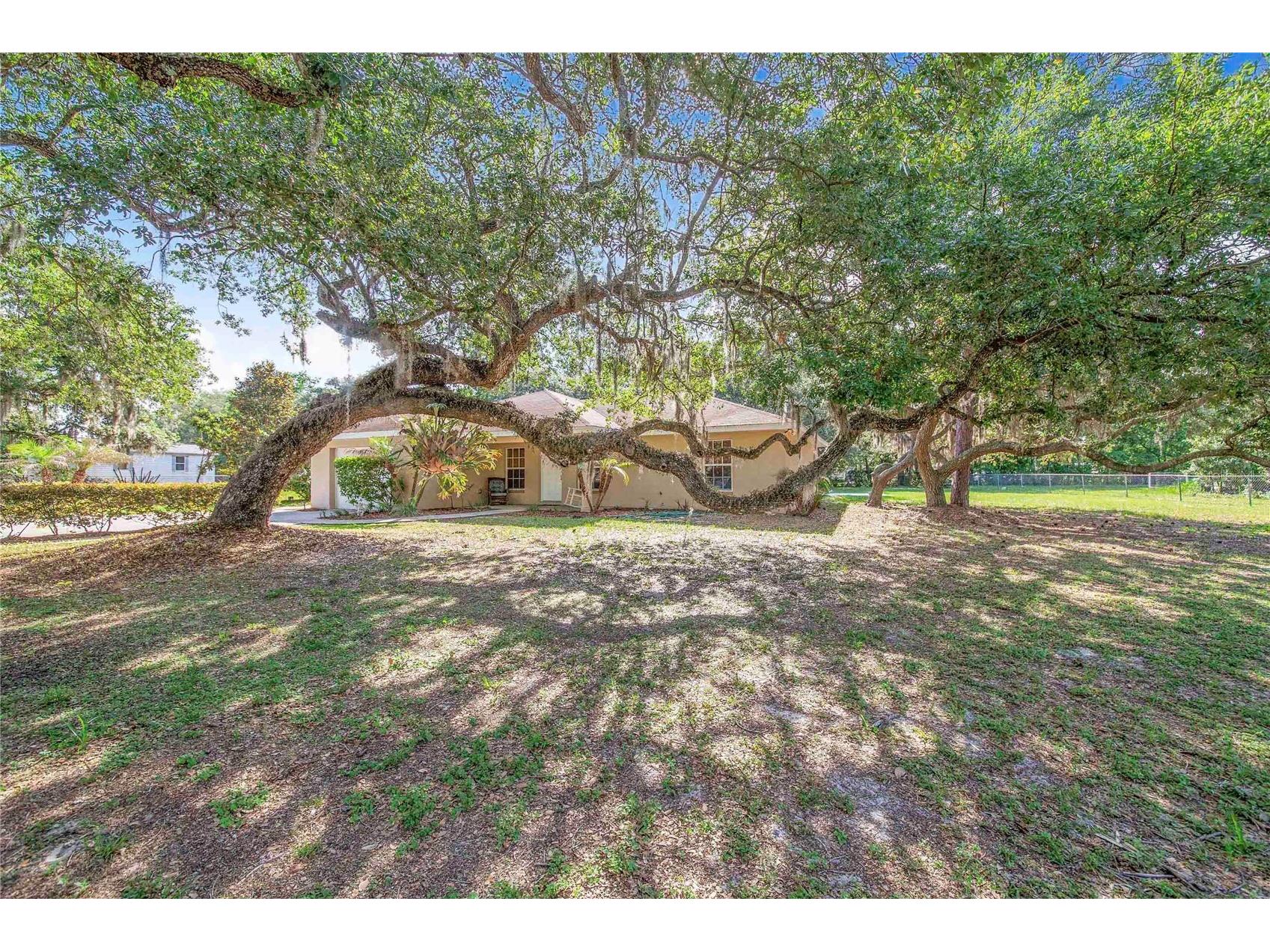 33 Pinewood Drive Haines City FL 33844 P4938797 image27