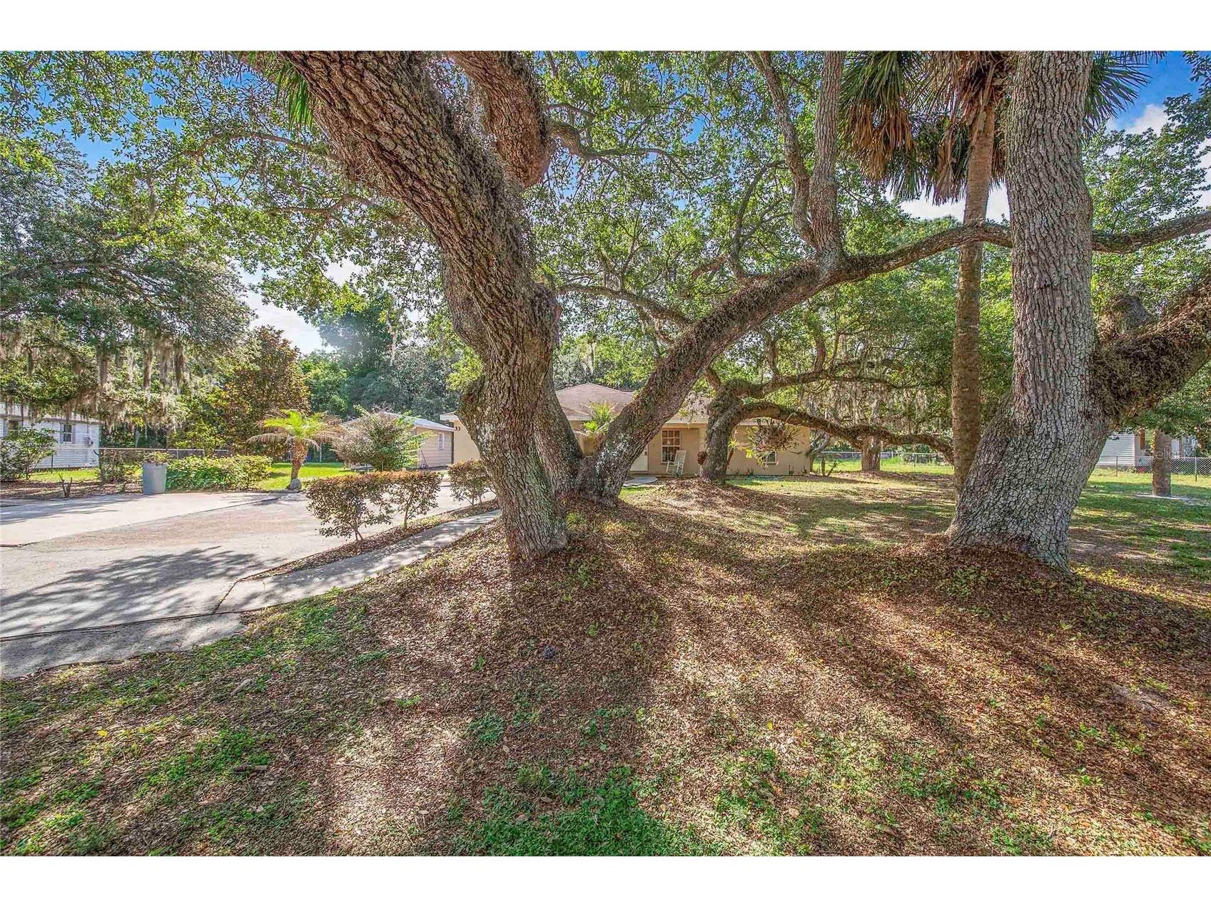 33 Pinewood Drive Haines City FL 33844 P4938797 image29