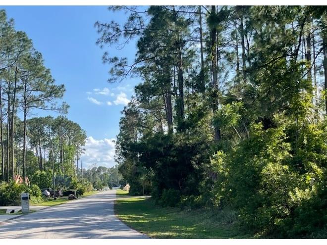 33 Ponderosa Lane Palm Coast FL 32164 FC309843 image2