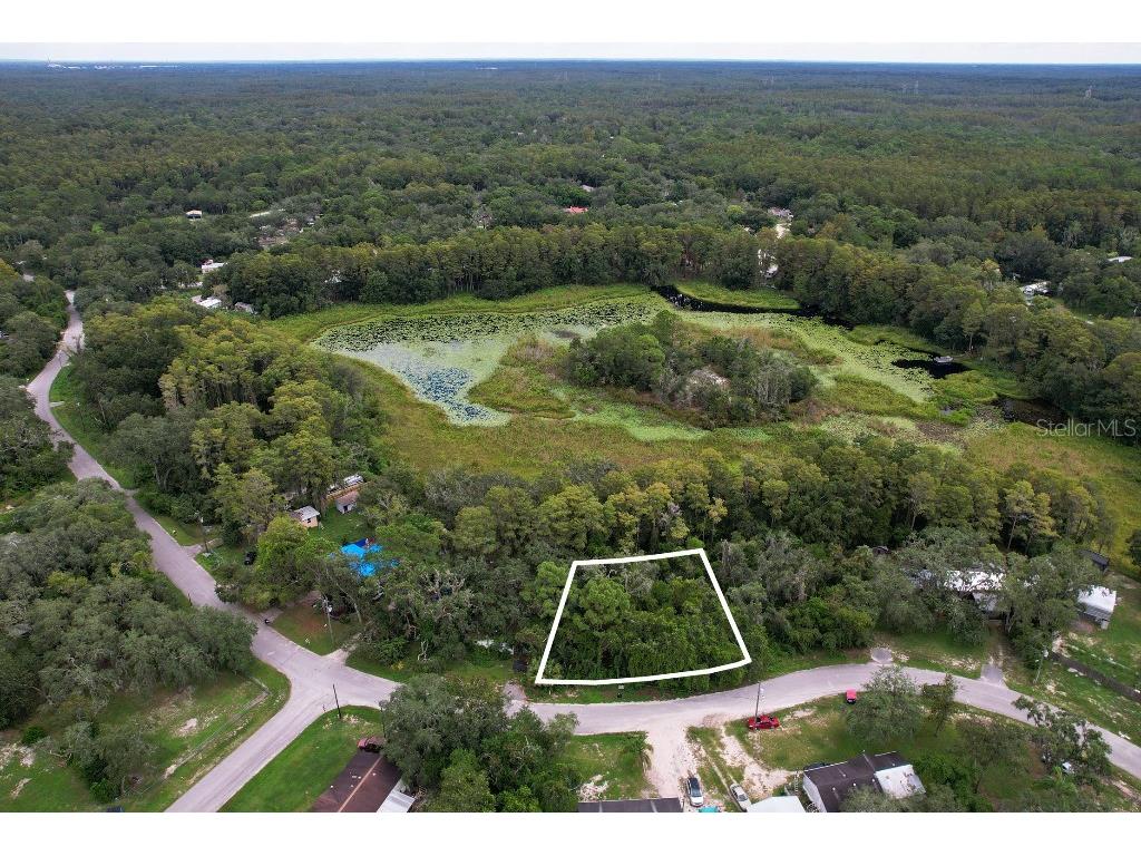33 Poplar Street New Port Richey FL 34654 W7883428 image1