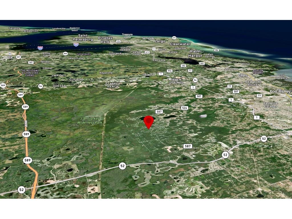 33 Poplar Street New Port Richey FL 34654 W7883428 image10