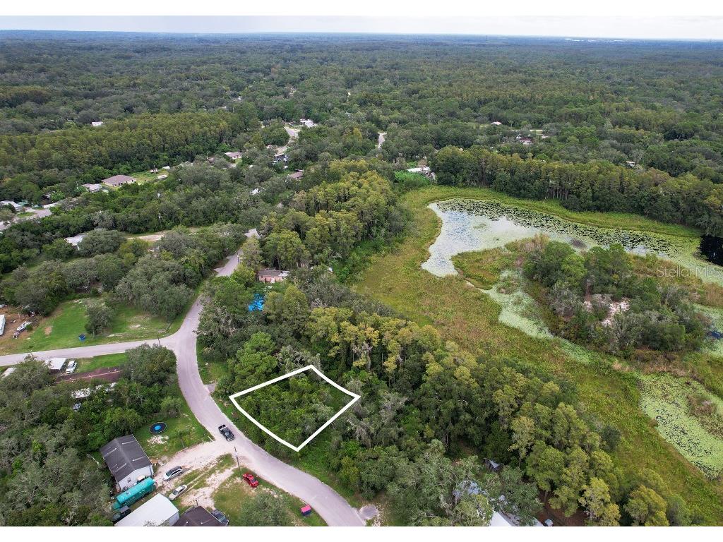 33 Poplar Street New Port Richey FL 34654 W7883428 image2