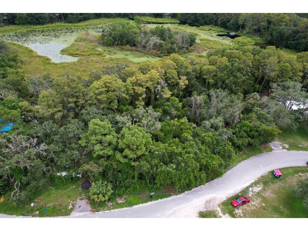 33 Poplar Street New Port Richey FL 34654 W7883428 image5