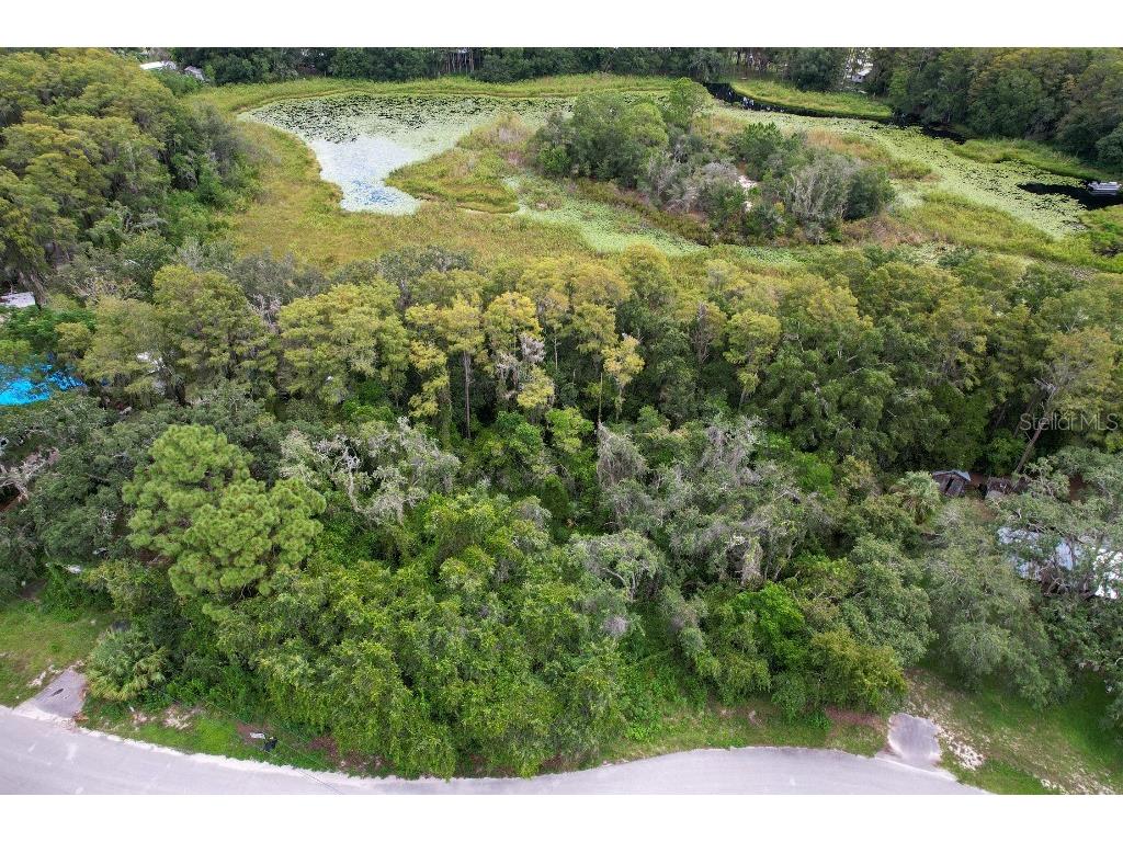 33 Poplar Street New Port Richey FL 34654 W7883428 image6