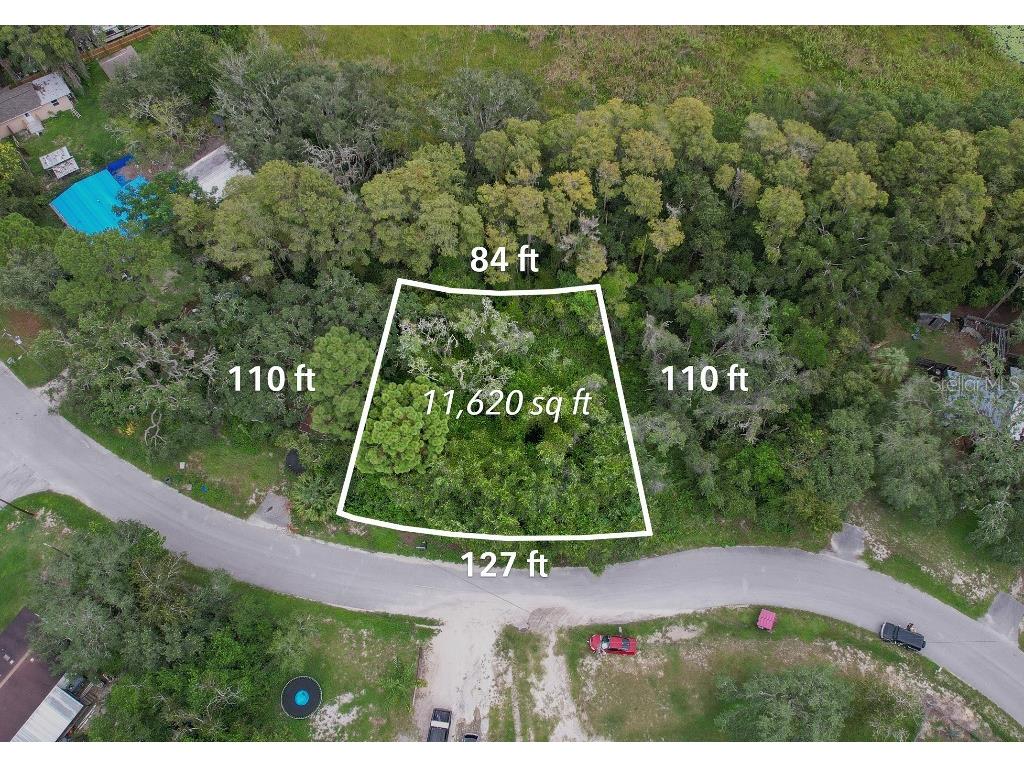 33 Poplar Street New Port Richey FL 34654 W7883428 image7