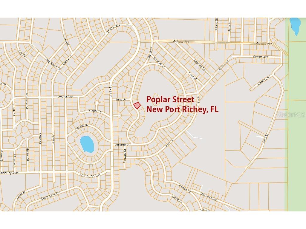 33 Poplar Street New Port Richey FL 34654 W7883428 image8