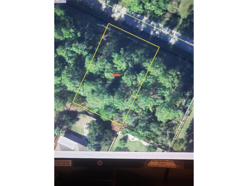 33 Red Birch Lane Palm Coast FL 32164 FC287956 image1