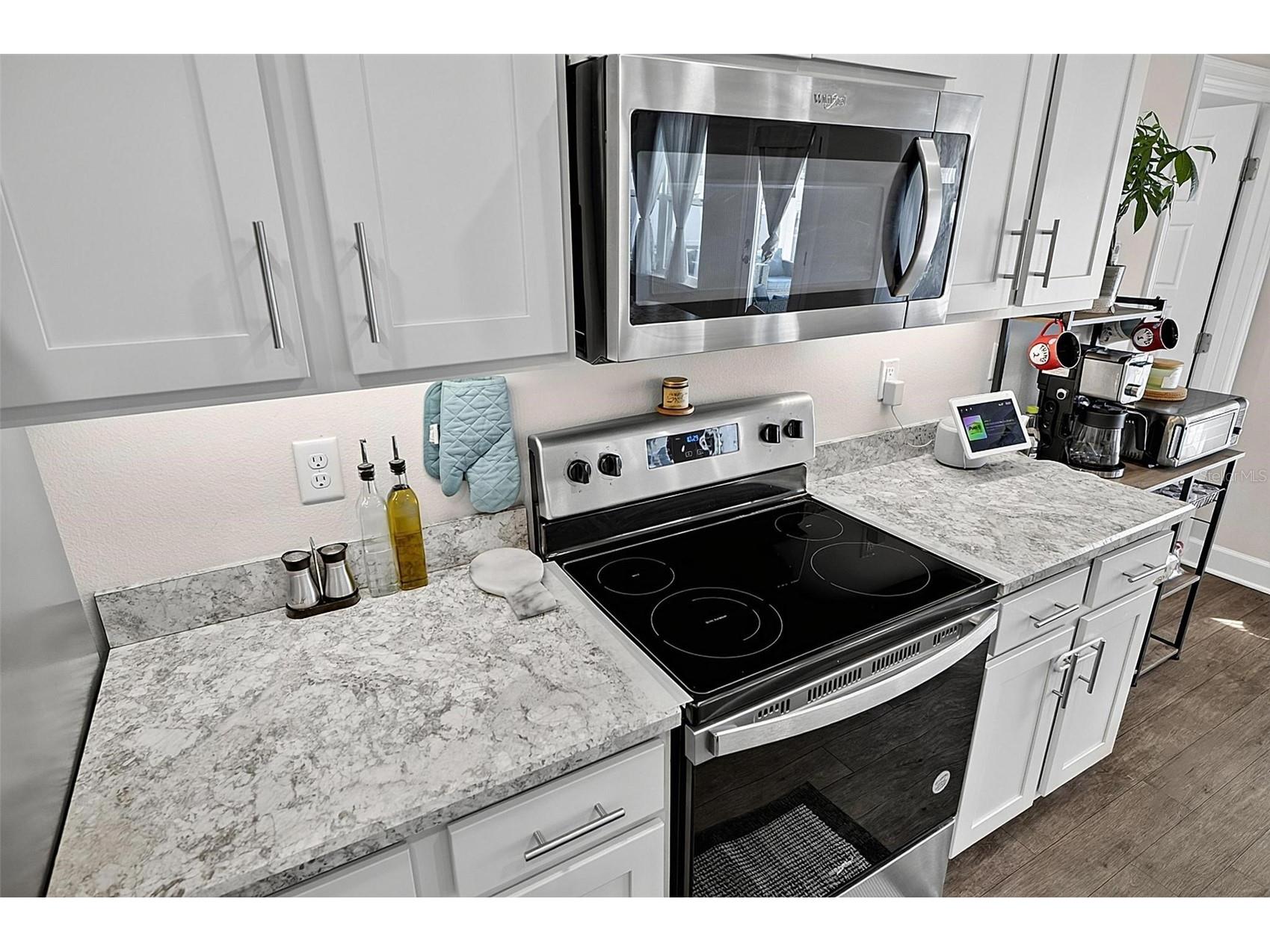 33 Richardson Drive Palm Coast FL 32164 FC319487 image19