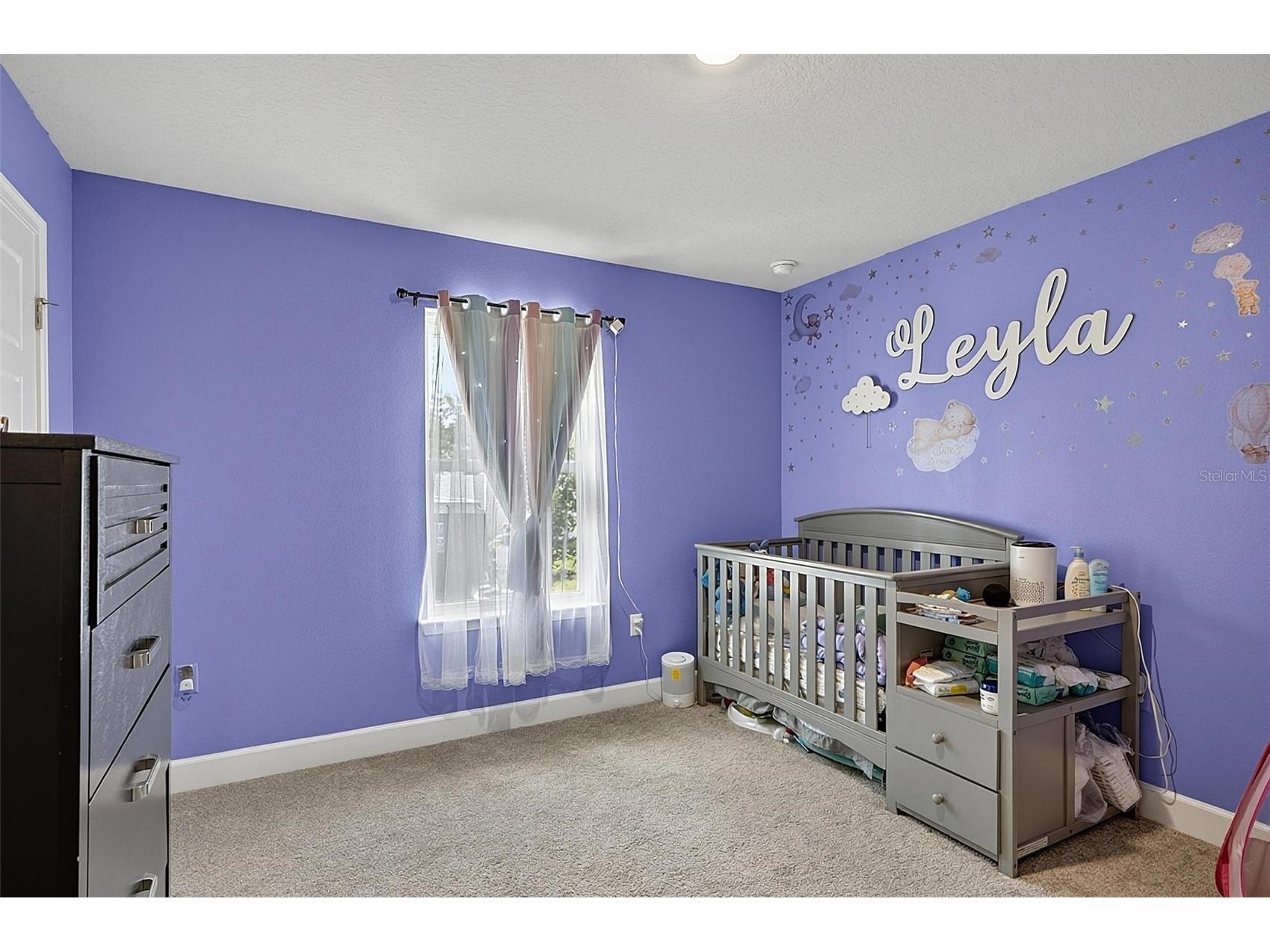 33 Richardson Drive Palm Coast FL 32164 FC319487 image37