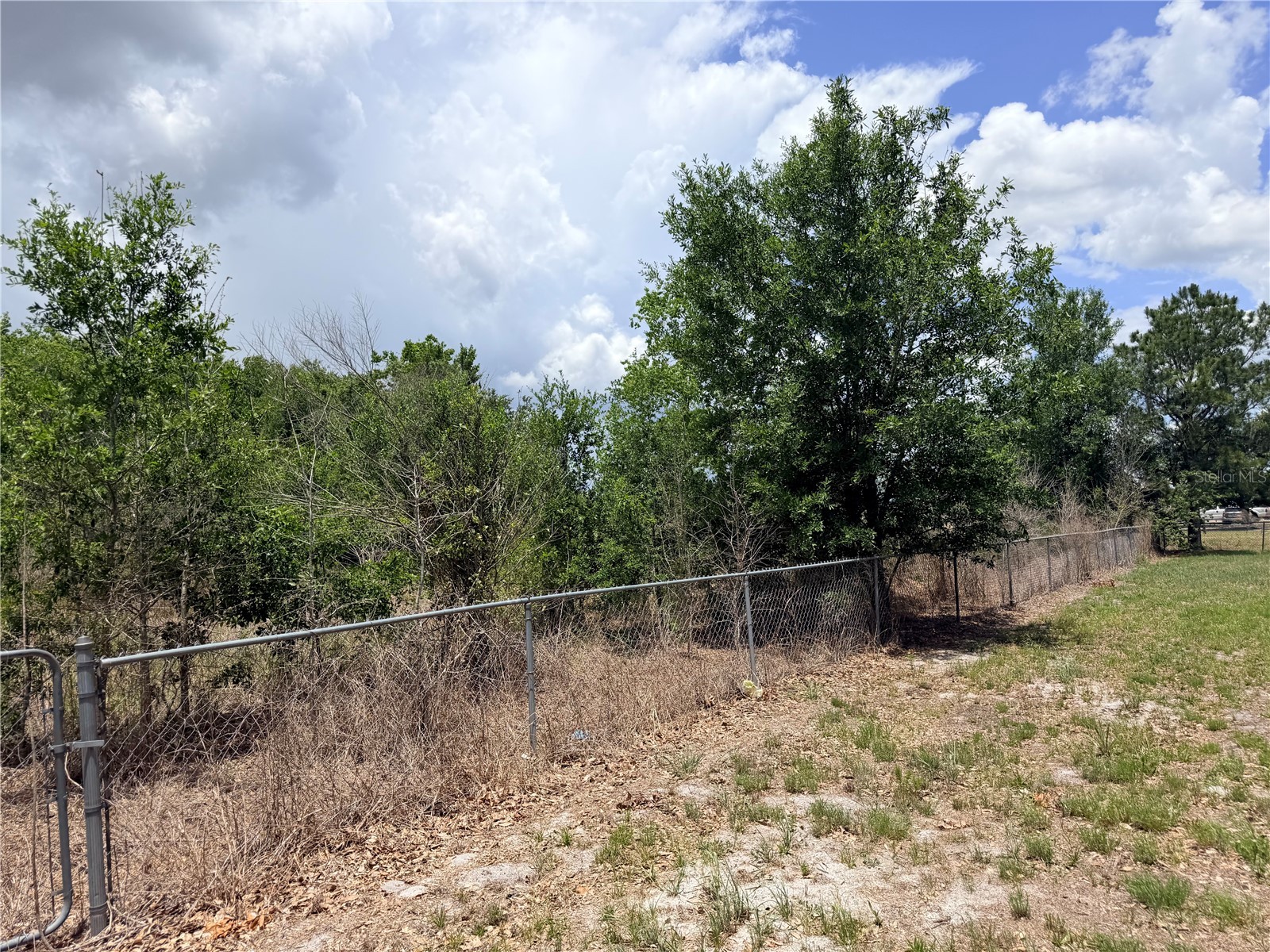 33 Ridge Road Frostproof FL 33843 P4938805 image20