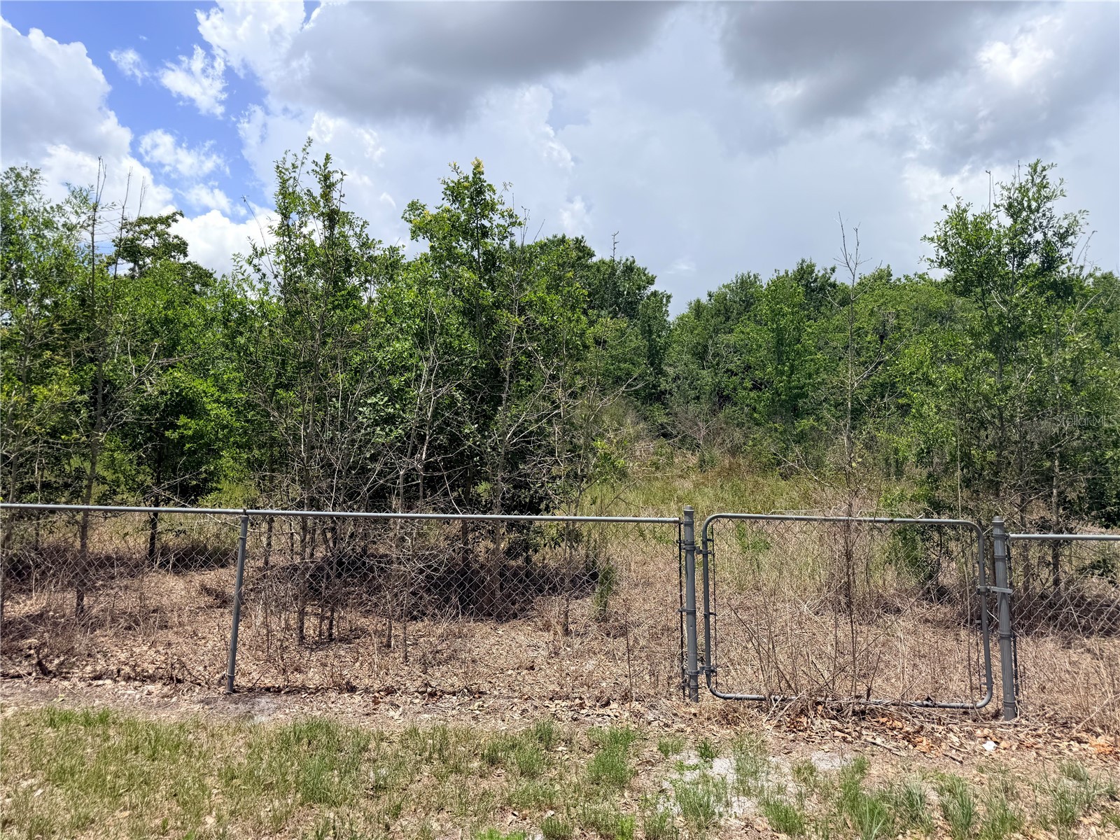 33 Ridge Road Frostproof FL 33843 P4938805 image21