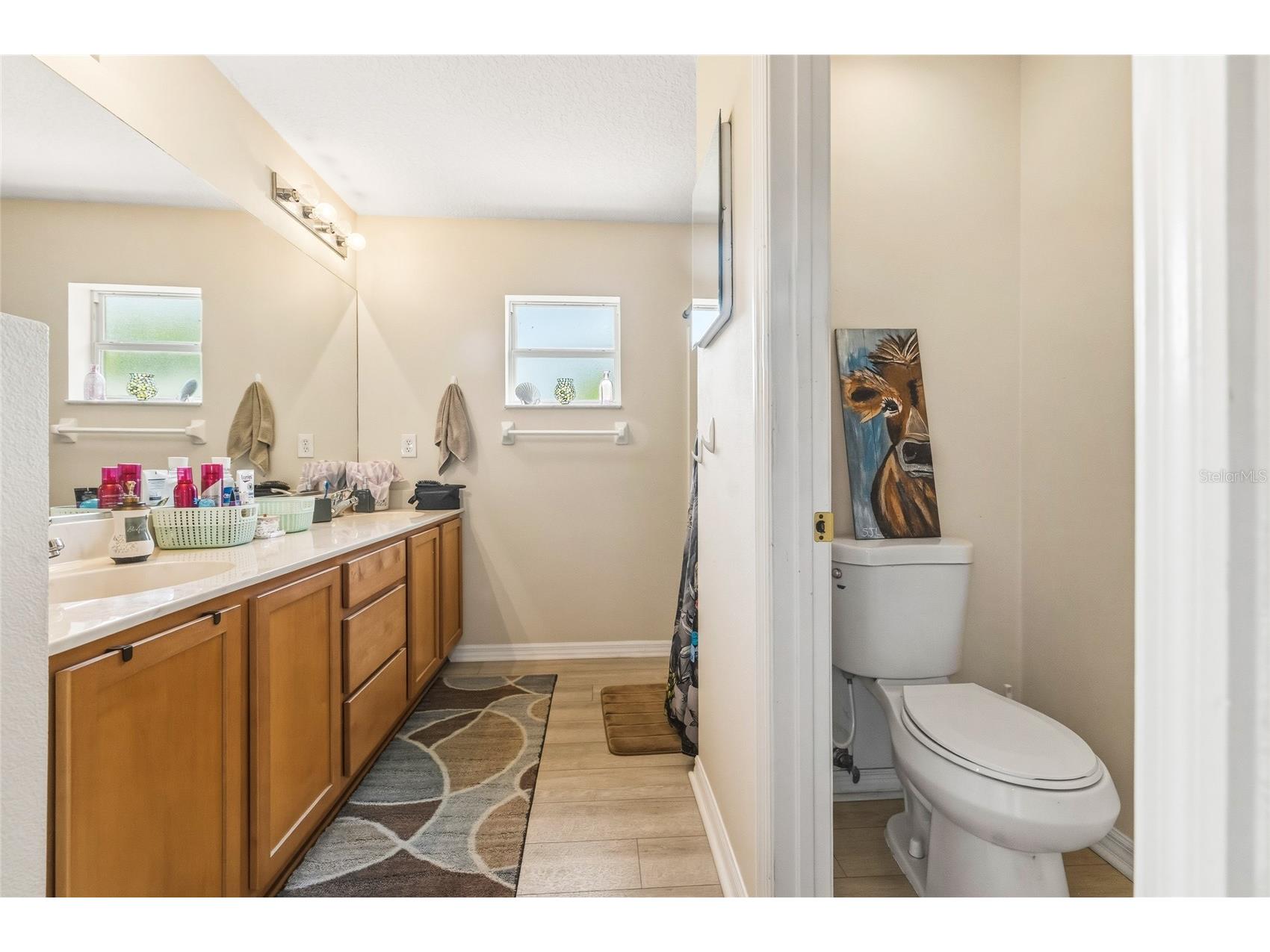 33 Royal Leaf Lane Palm Coast FL 32164 FC318675 image23