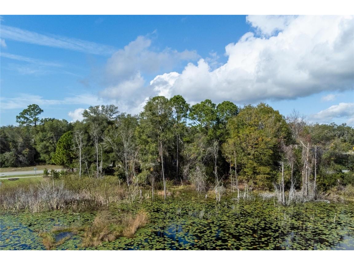 33 S Courtland Boulevard Deltona FL 32738 - LAKE HUTCHINGSON O6367631 image15