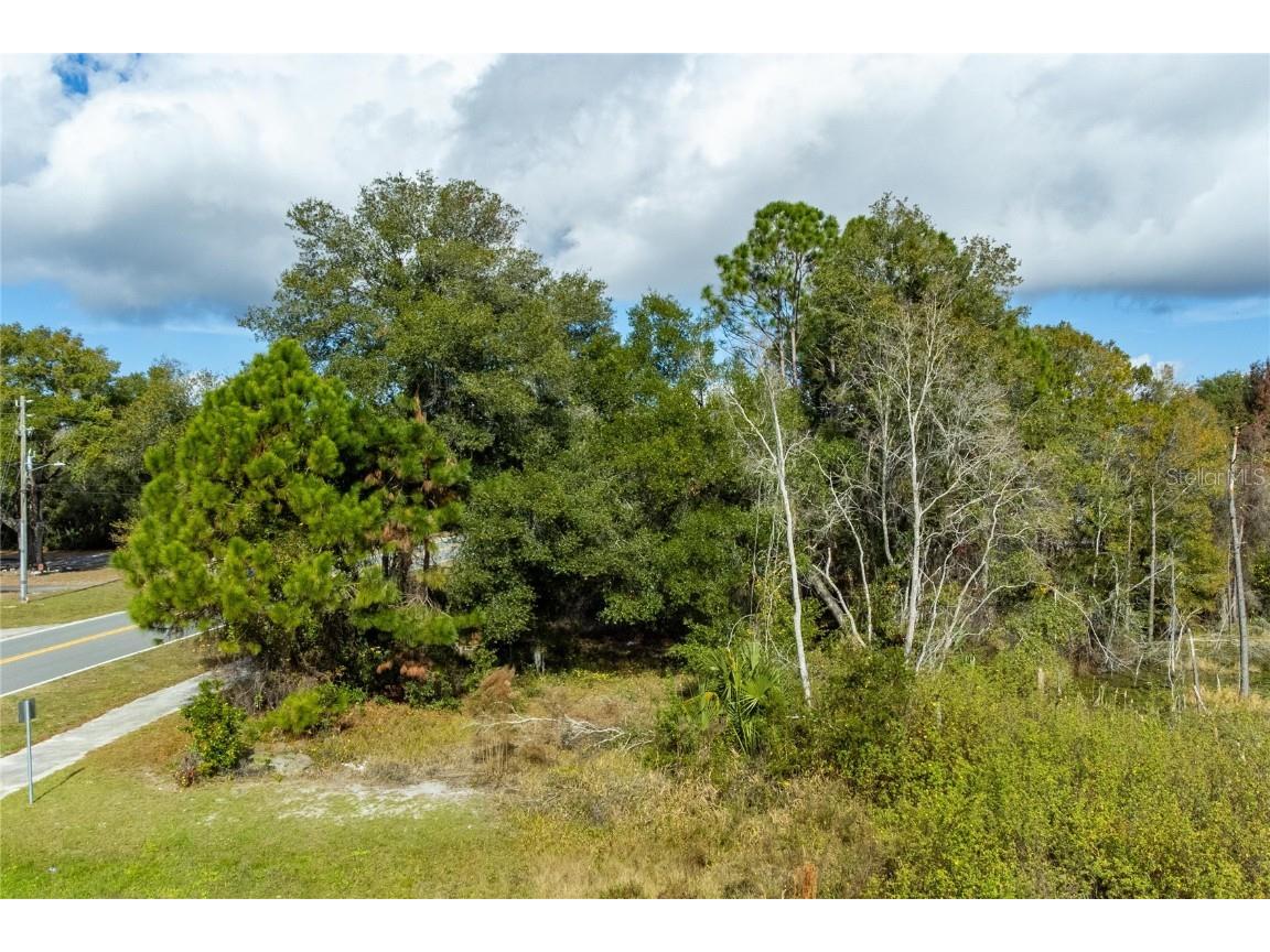 33 S Courtland Boulevard Deltona FL 32738 - LAKE HUTCHINGSON O6367631 image18