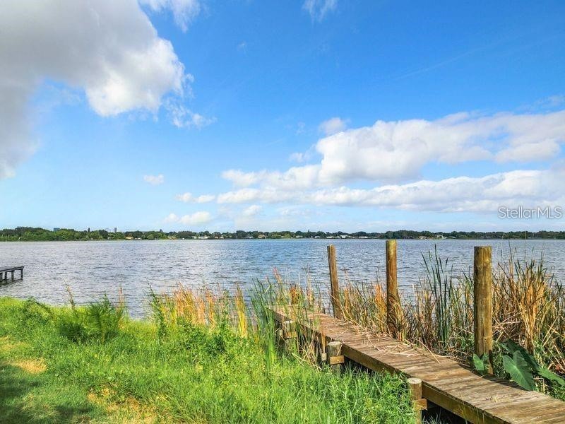 33 S Ortman Drive Orlando FL 32805 - LAKE MANN O6414574 image42