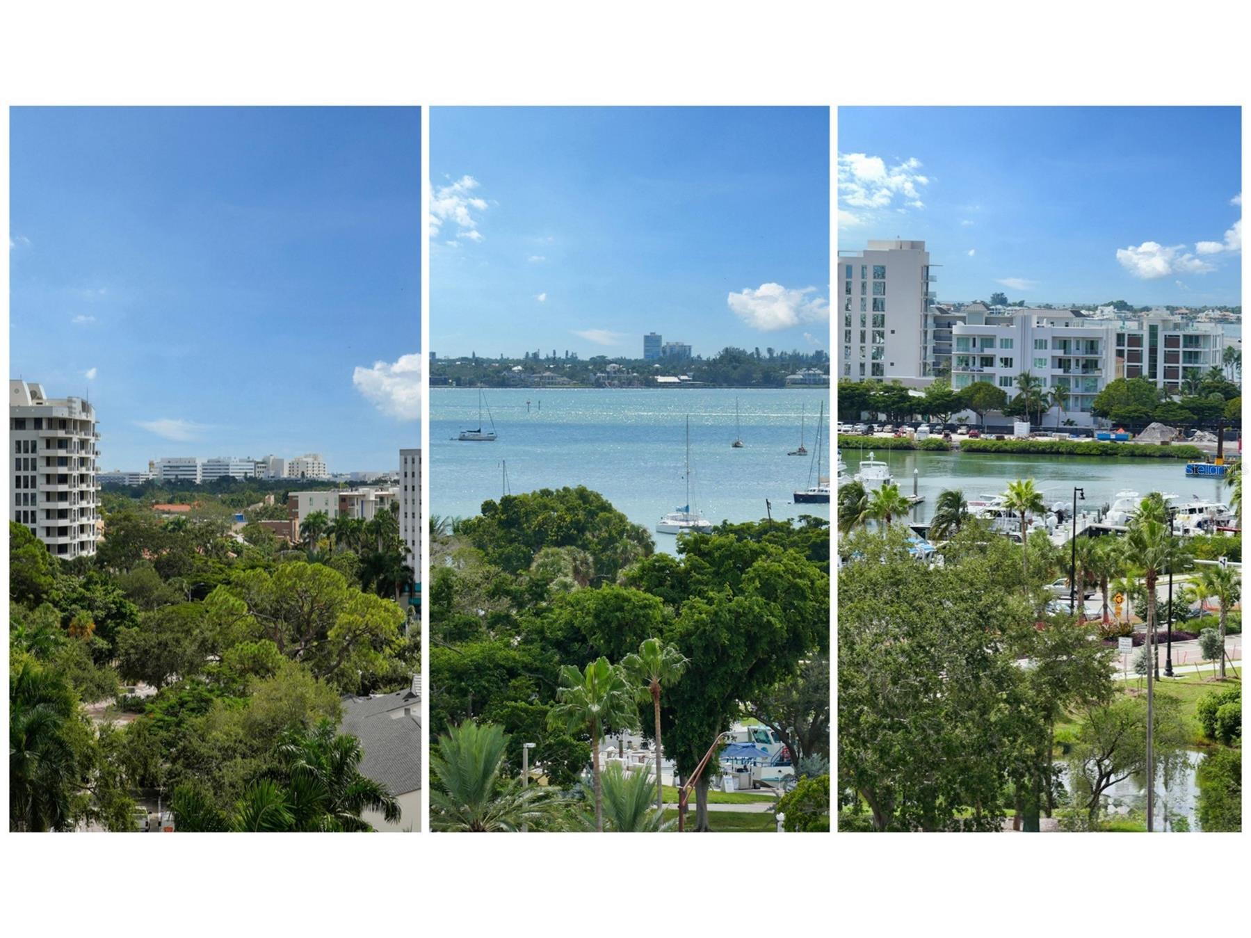 33 S Palm Avenue #701 Sarasota FL 34236 A4666950 image11