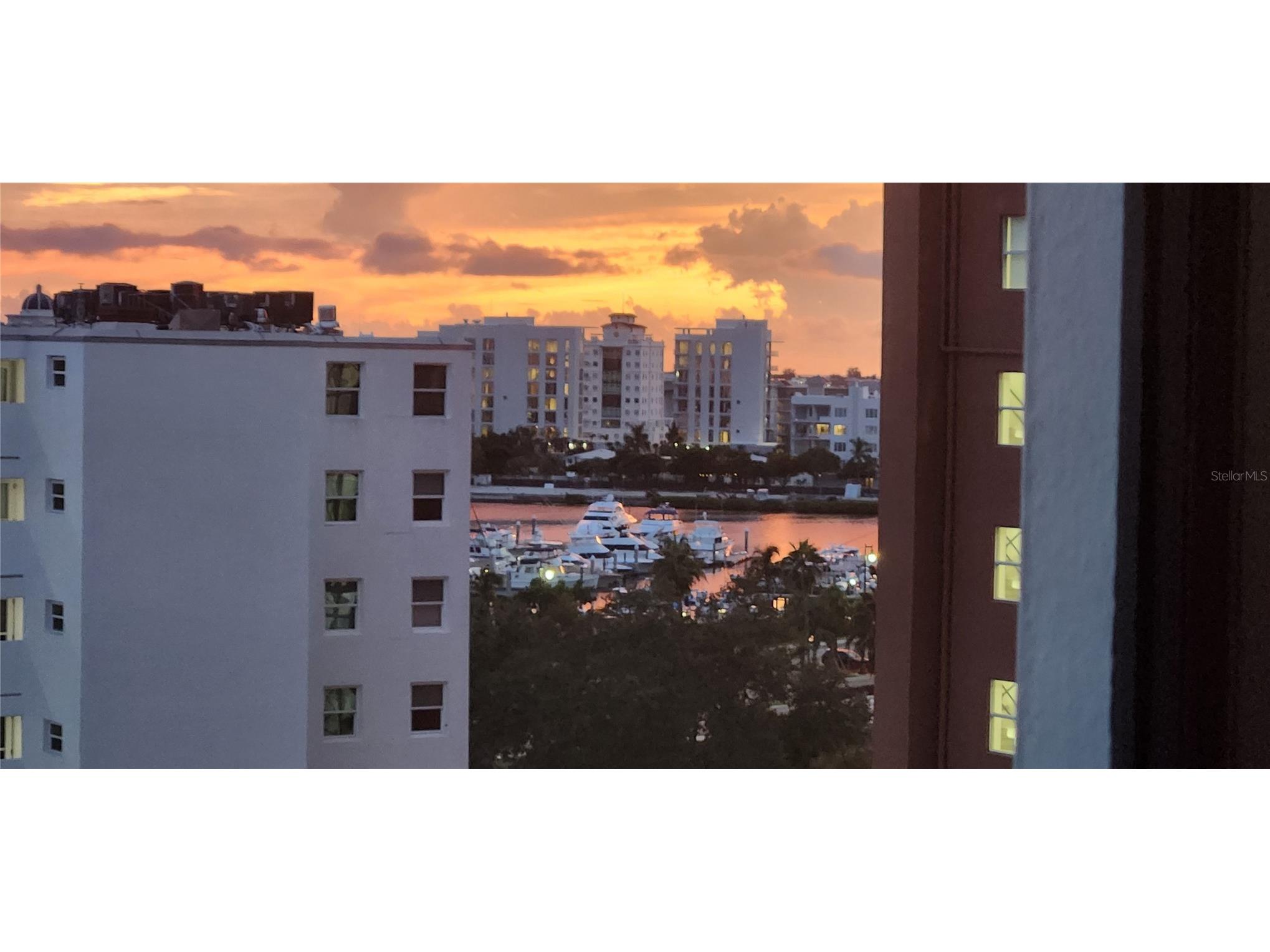 33 S Palm Avenue #701 Sarasota FL 34236 A4666950 image12