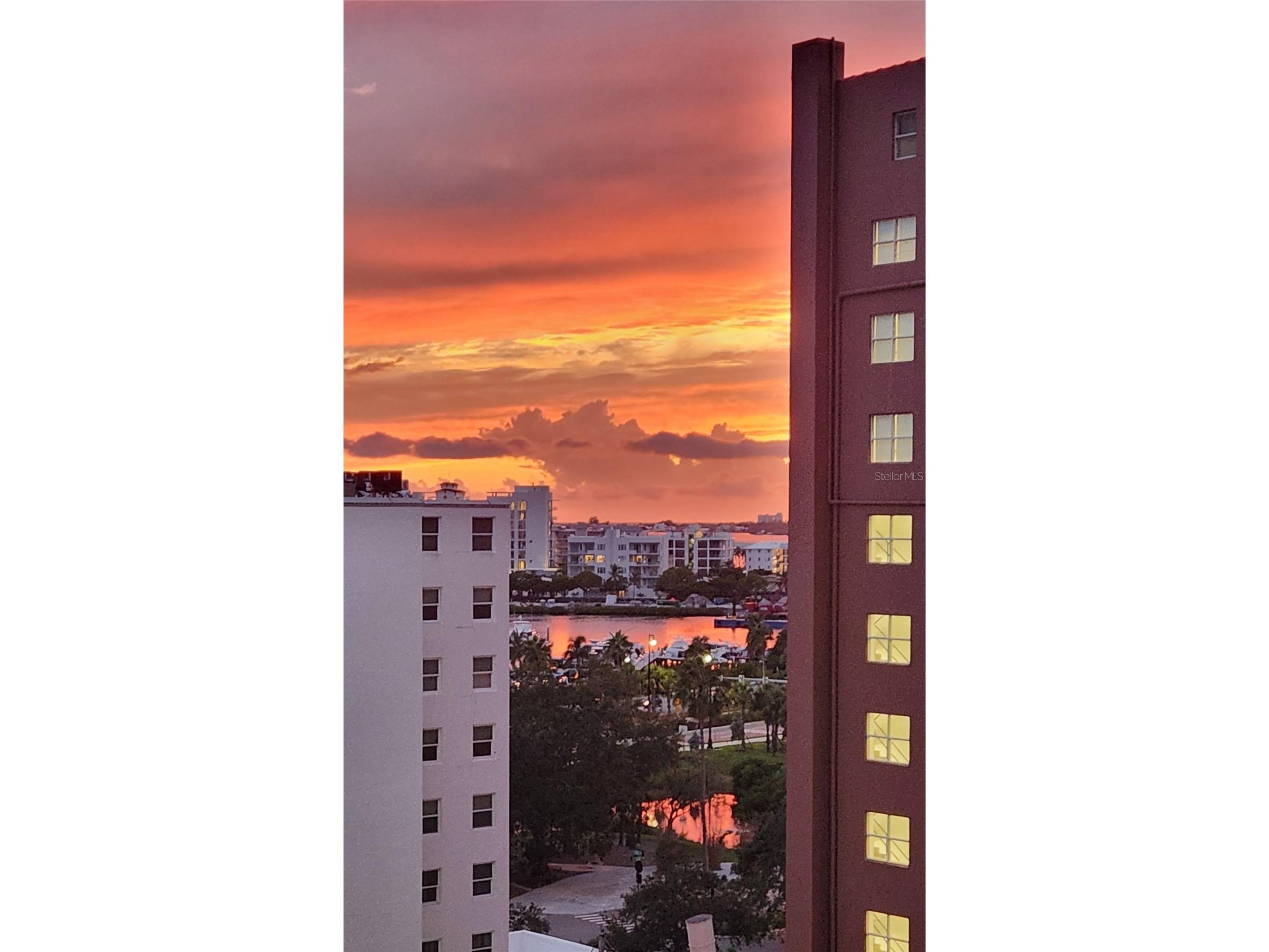 33 S Palm Avenue #701 Sarasota FL 34236 A4666950 image13