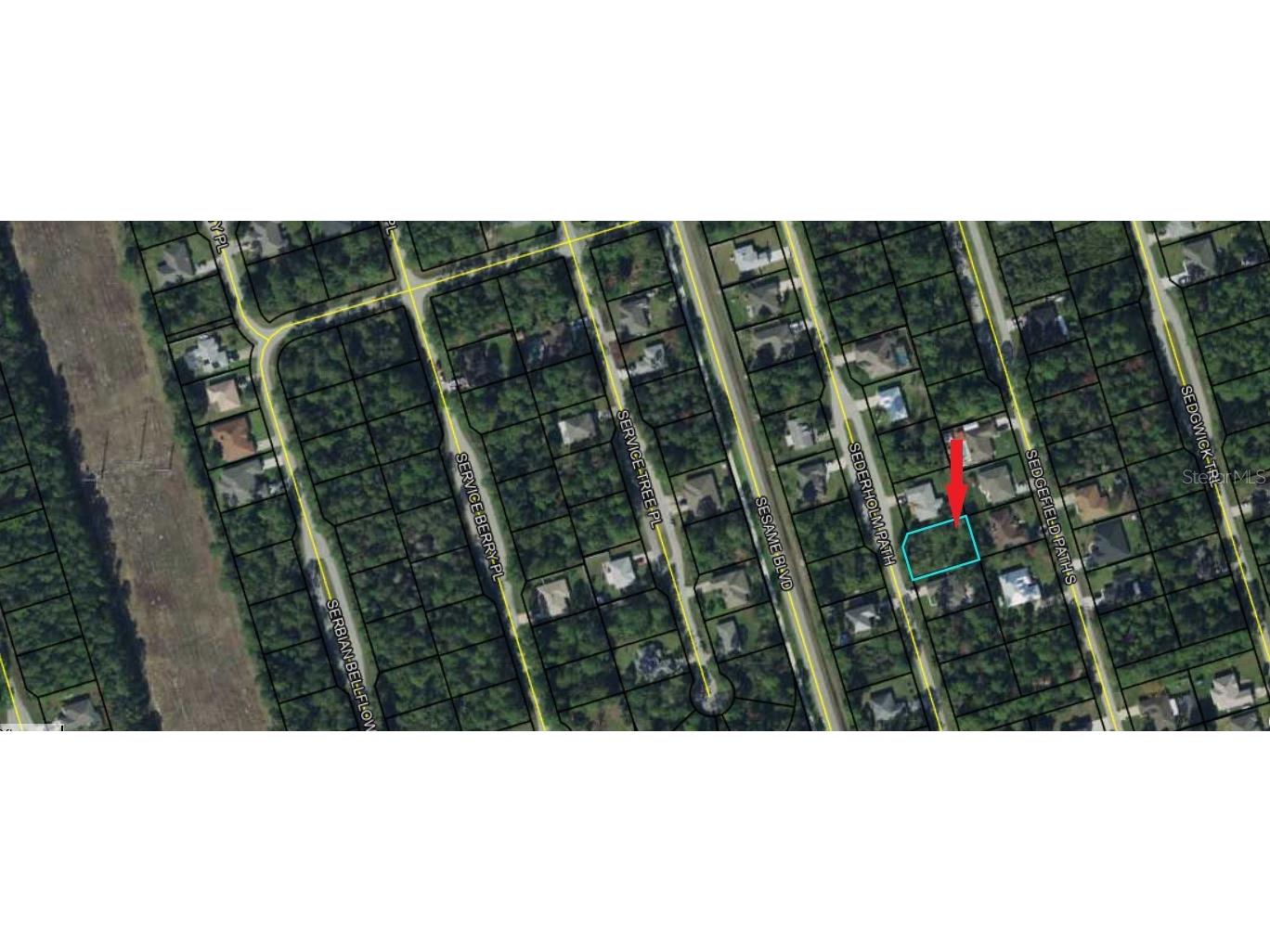 33 Sederholm Path Palm Coast FL 32164 FC289838 image1