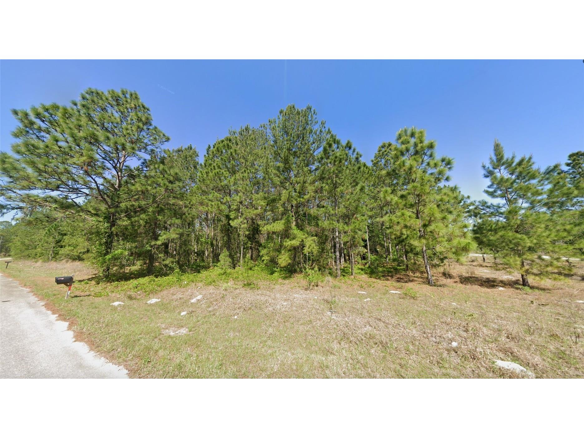 33 Sequoia Drive Lane Ocklawaha FL 32179 O6398826 image2