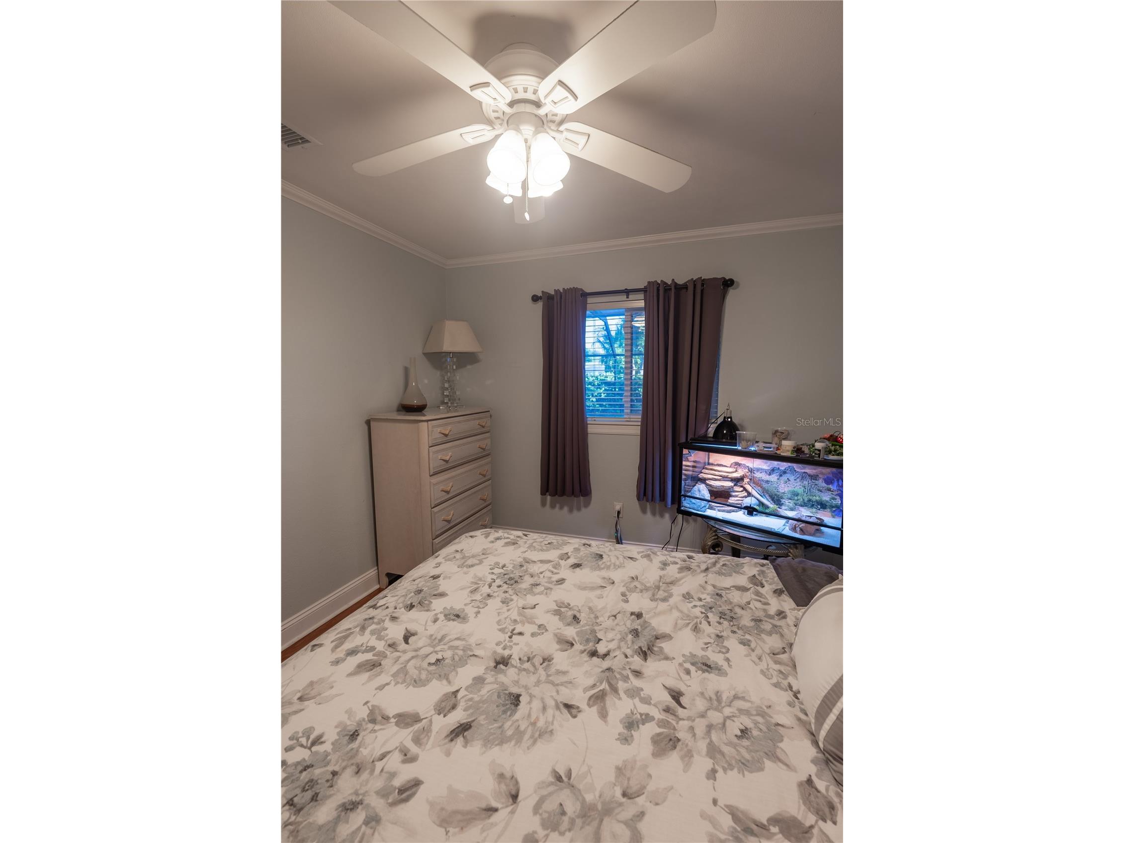 33 Southwind Drive Belleair Bluffs FL 33770 TB8498460 image24