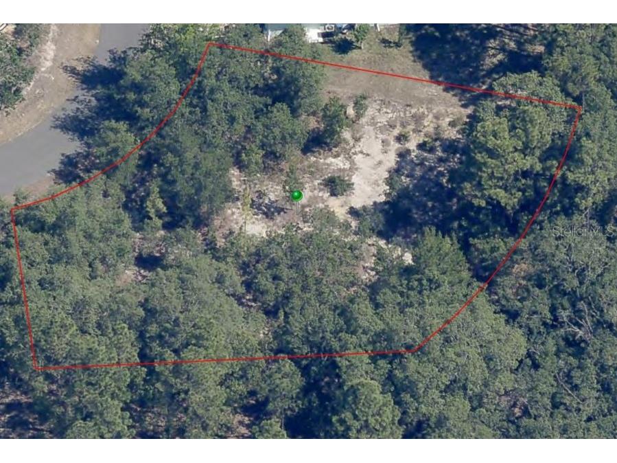 33 Waxmyrtle Court Homosassa FL 34446 TB8361205 image1