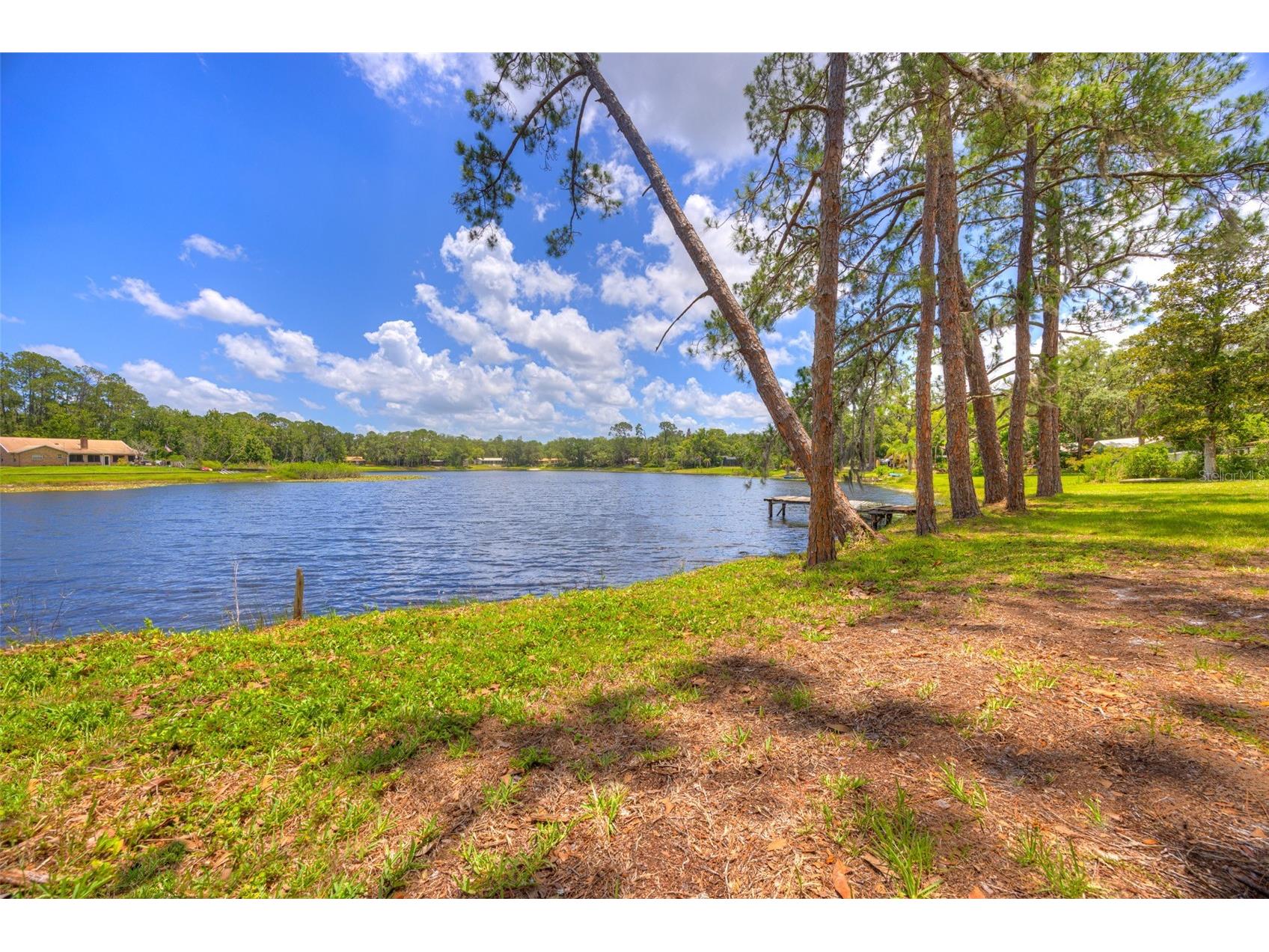 33 Willow Lane Deland FL 32724 - LAKE BYRON V4949278 image47