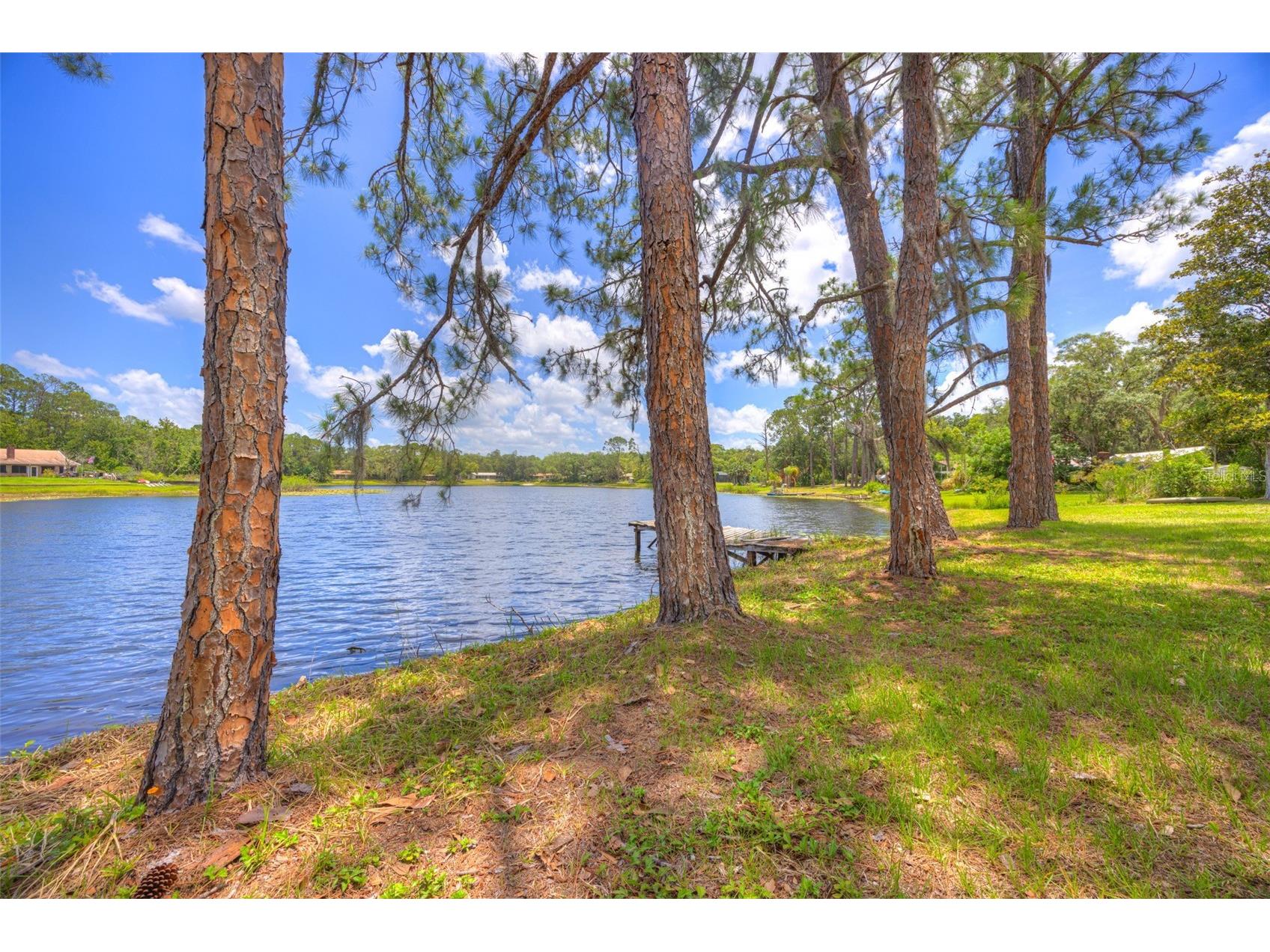 33 Willow Lane Deland FL 32724 - LAKE BYRON V4949278 image48