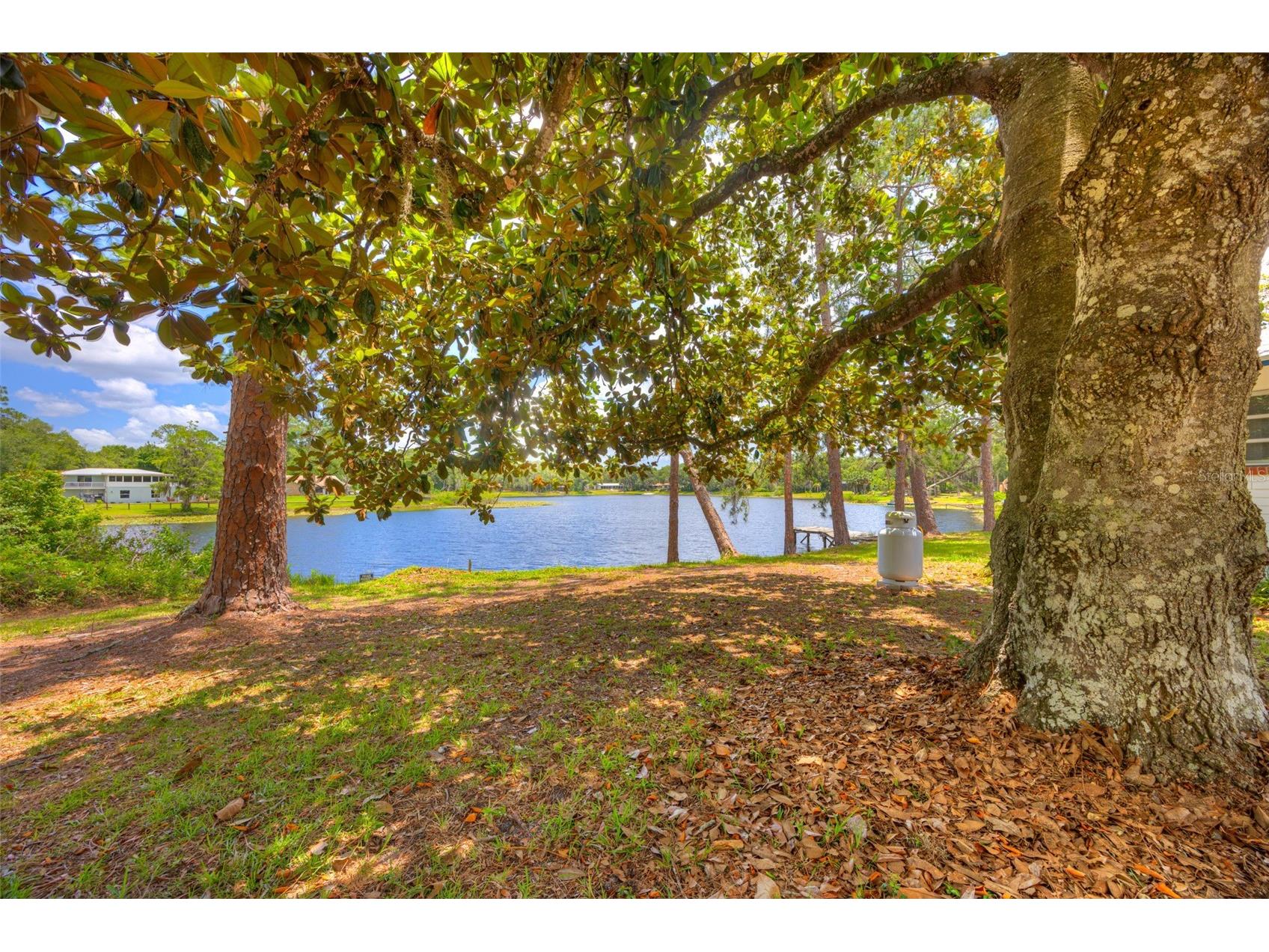 33 Willow Lane Deland FL 32724 - LAKE BYRON V4949278 image49