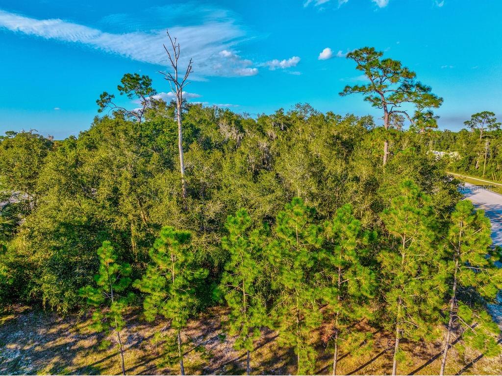 330 Bonnie Lane Orange City FL 32763 V4947169 image36