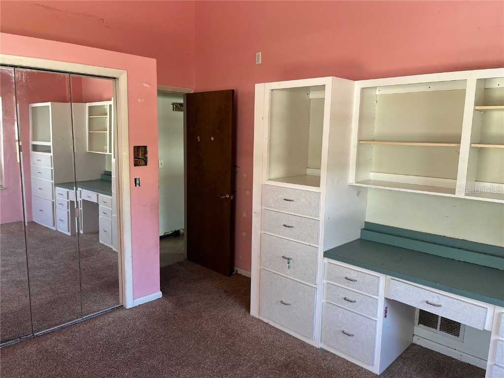 330 Callitris Avenue Polk City FL 33868 - LAKE AGNES L4951081 image19