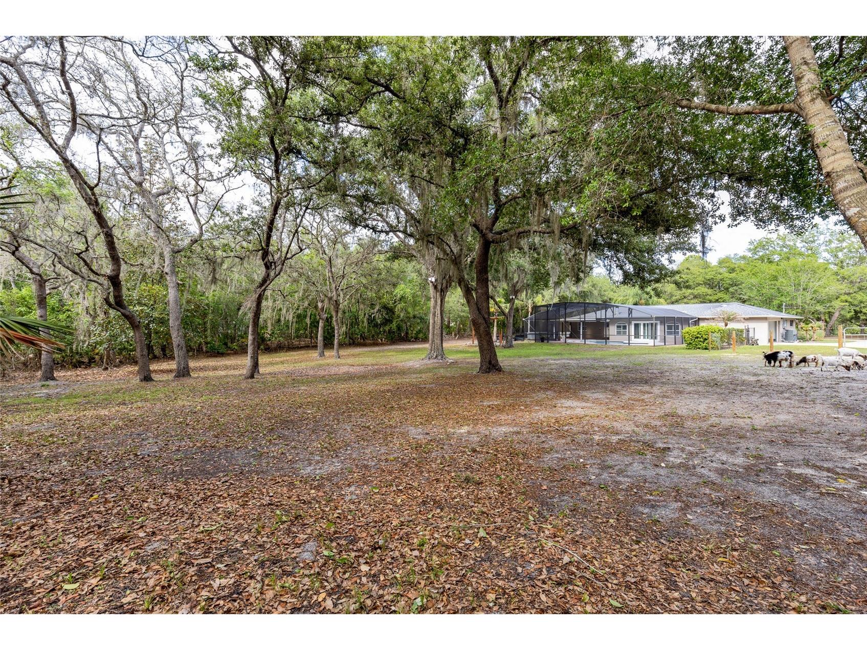330 Hayes Road Winter Springs FL 32708 O6404598 image41
