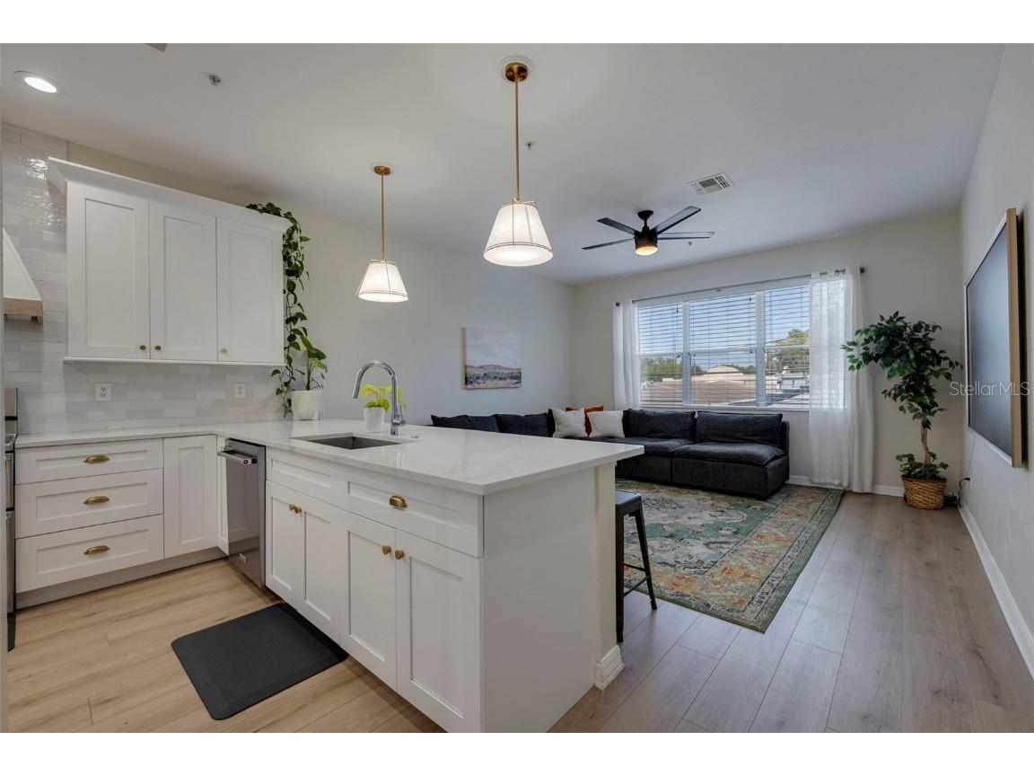 330 Lang Court N #1 Saint Petersburg FL 33701 TB8385562 image15