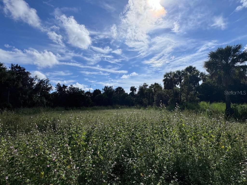 330 Overbrook Street Port Charlotte FL 33954 TB8307947 image1