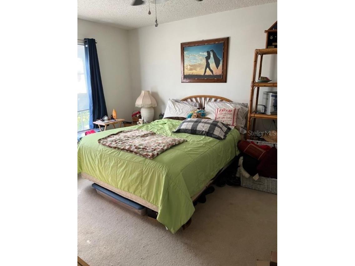 330 Promenade Drive #206 Dunedin FL 34698 TB8455193 image17