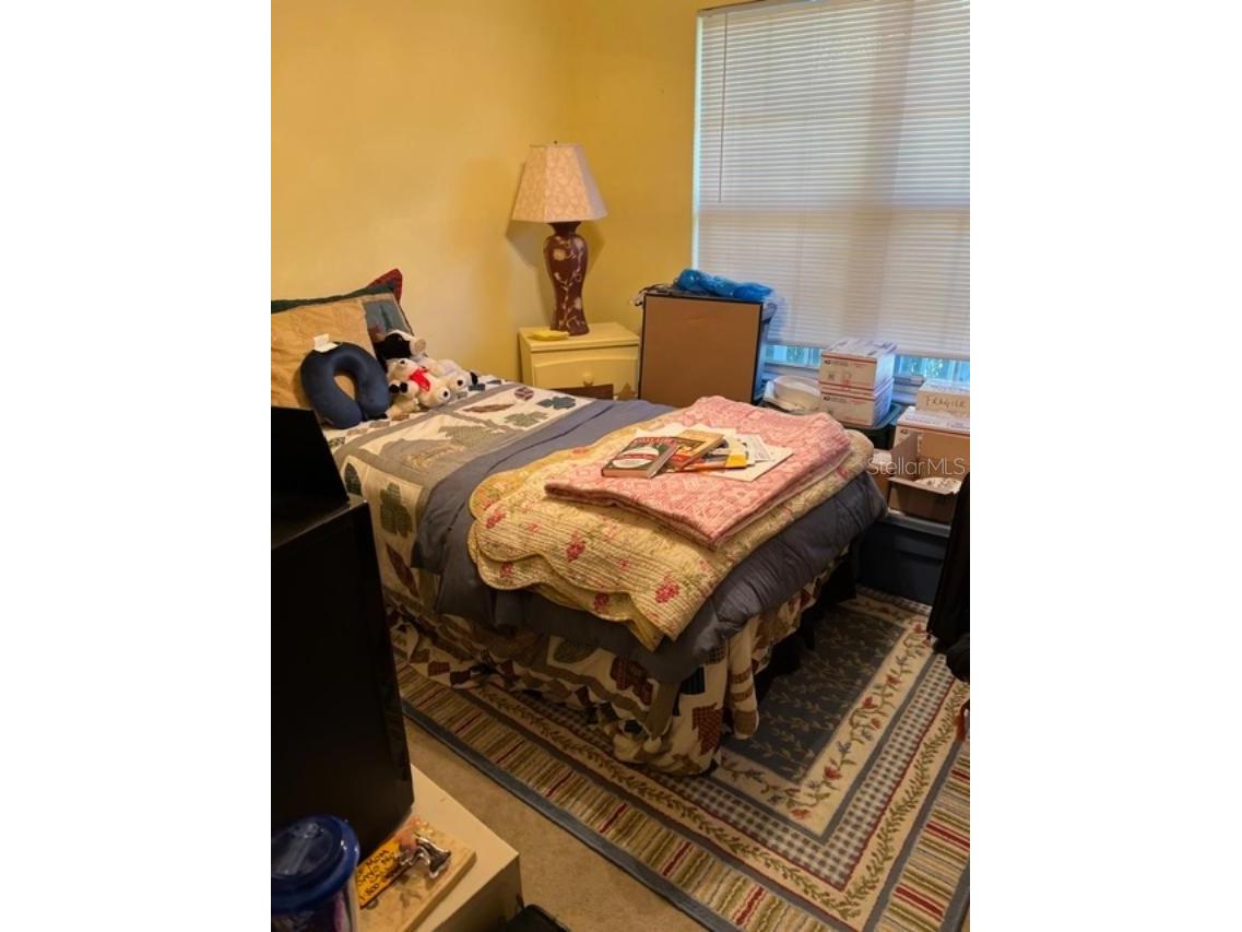 330 Promenade Drive #206 Dunedin FL 34698 TB8455193 image18