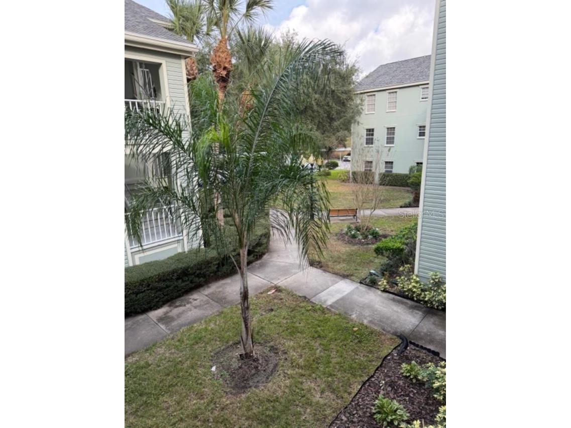 330 Promenade Drive #206 Dunedin FL 34698 TB8455193 image2