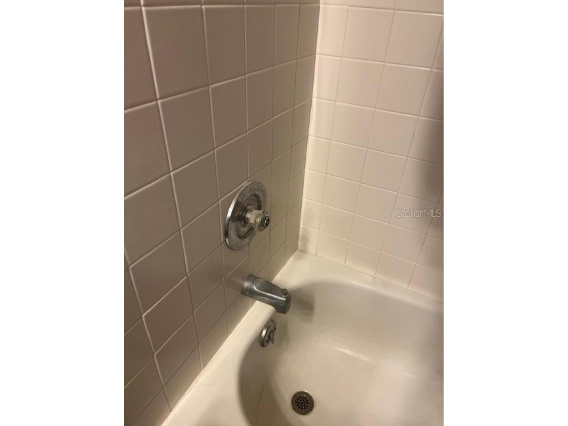 330 Promenade Drive #206 Dunedin FL 34698 TB8455193 image22