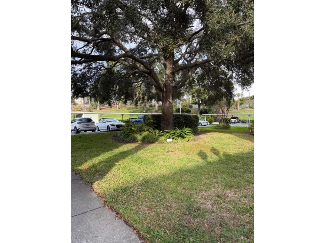 330 Promenade Drive #206 Dunedin FL 34698 TB8455193 image33