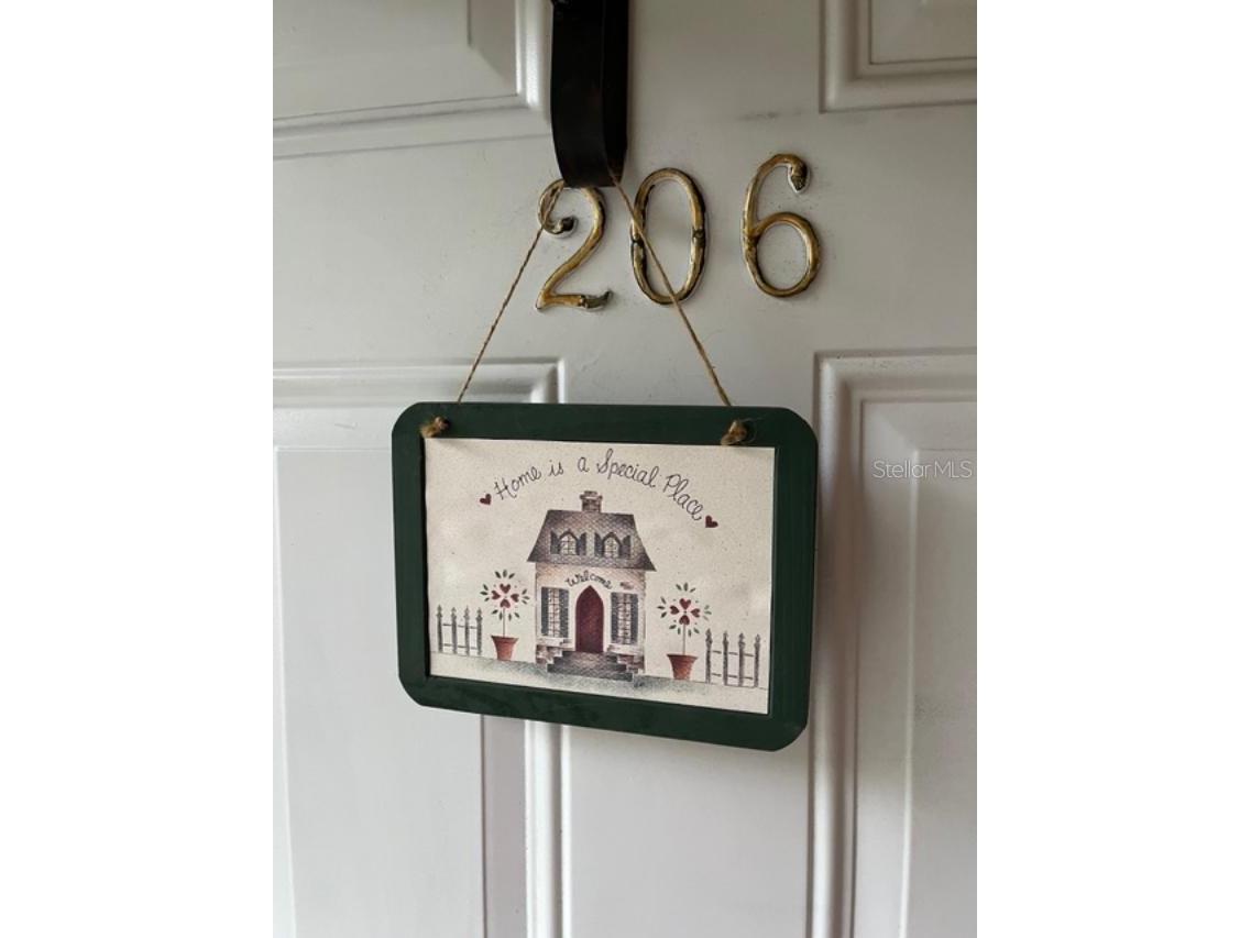 330 Promenade Drive #206 Dunedin FL 34698 TB8455193 image4