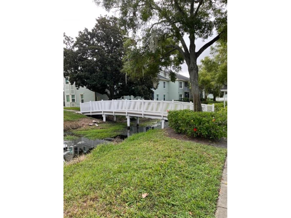 330 Promenade Drive #206 Dunedin FL 34698 TB8455193 image5