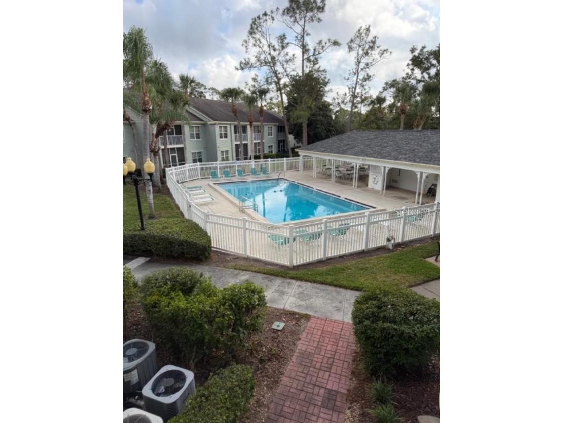330 Promenade Drive #206 Dunedin FL 34698 TB8455193 image8