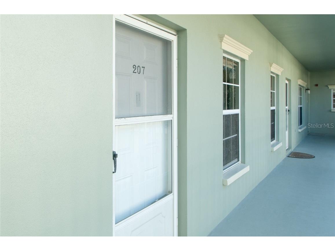 330 Promenade Drive #207 Dunedin FL 34698 TB8326776 image1