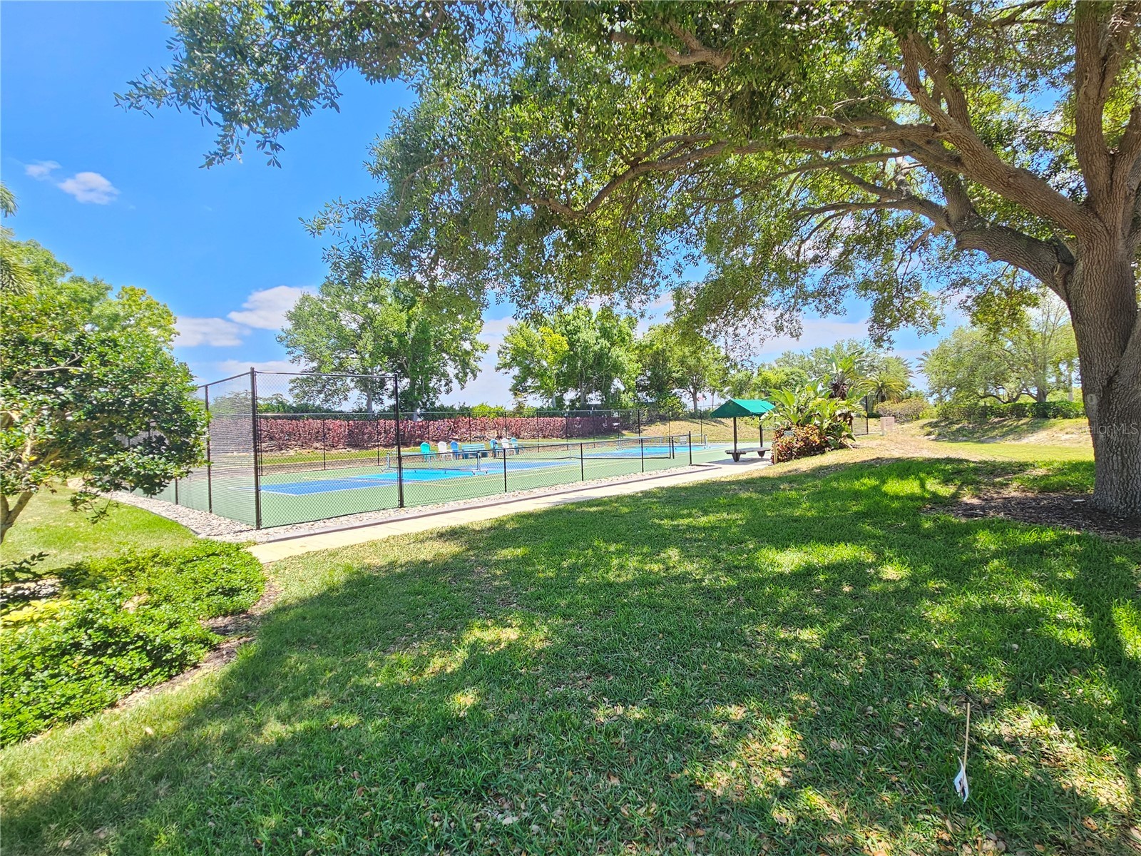 330 Rio Terra Venice FL 34285 N6143933 image62